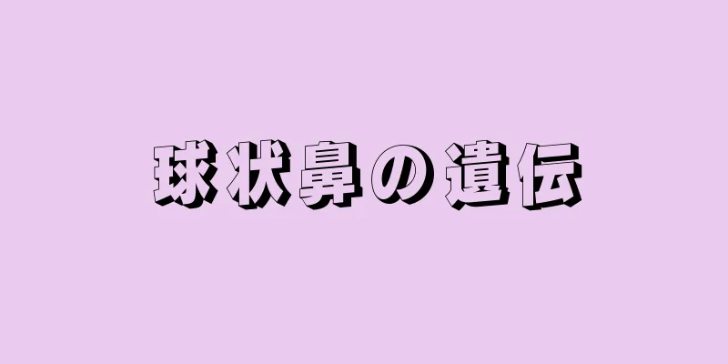 球状鼻の遺伝