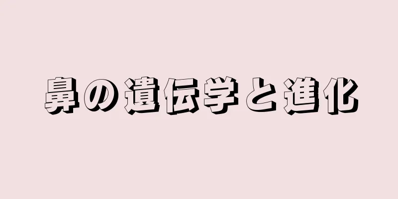 鼻の遺伝学と進化