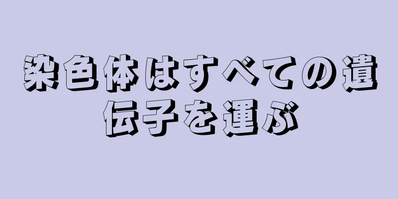 染色体はすべての遺伝子を運ぶ