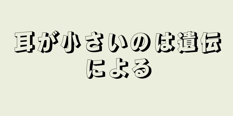 耳が小さいのは遺伝による