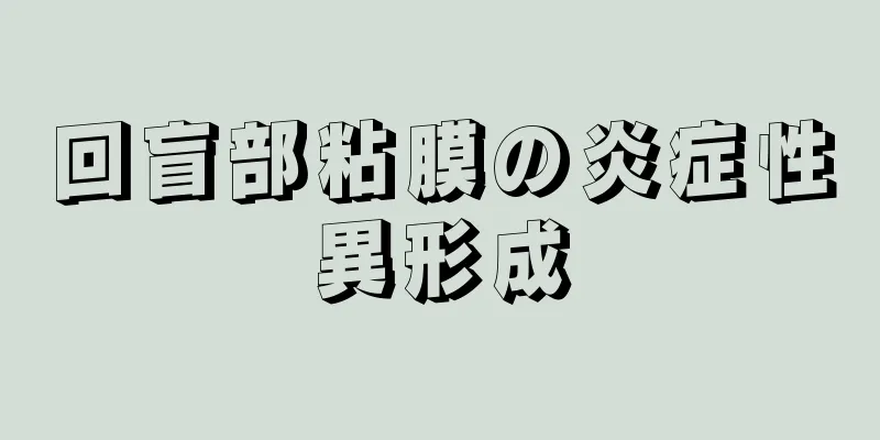 回盲部粘膜の炎症性異形成