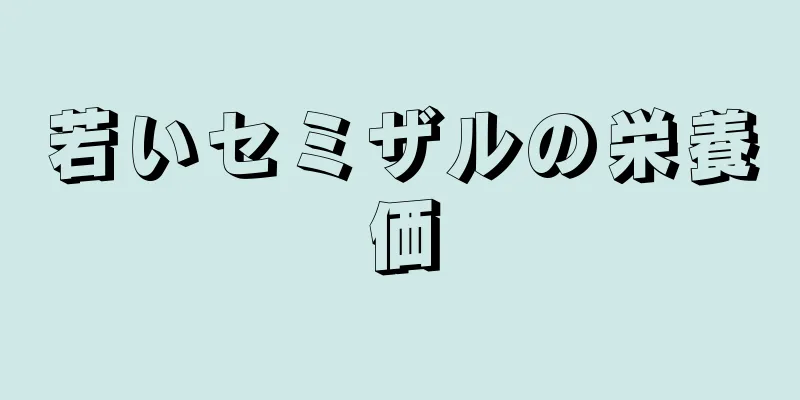 若いセミザルの栄養価