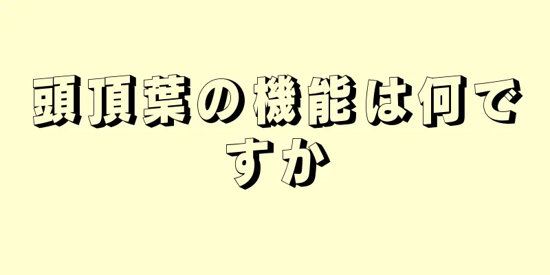 頭頂葉の機能は何ですか