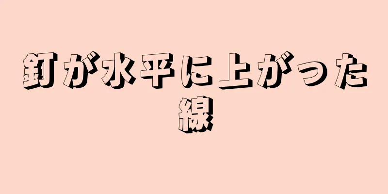 釘が水平に上がった線