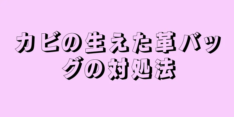 カビの生えた革バッグの対処法