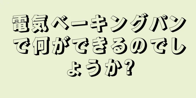 電気ベーキングパンで何ができるのでしょうか?