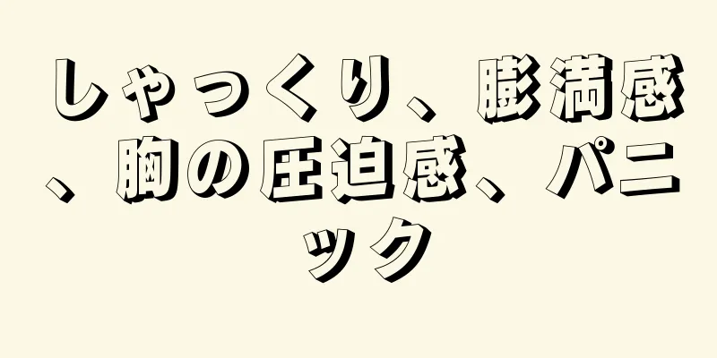 しゃっくり、膨満感、胸の圧迫感、パニック