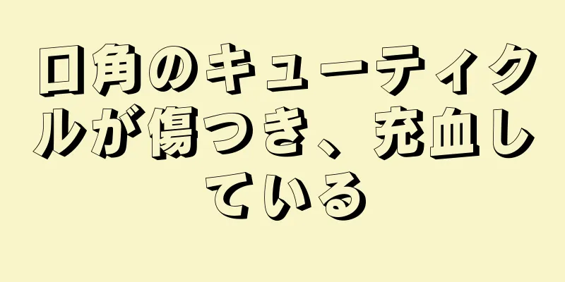 口角のキューティクルが傷つき、充血している