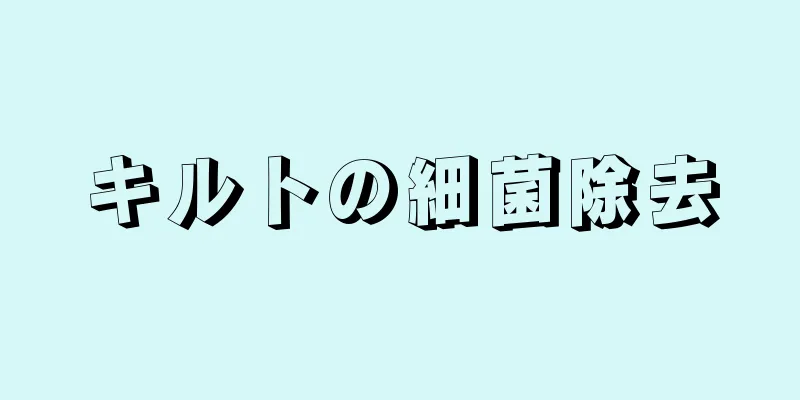 キルトの細菌除去