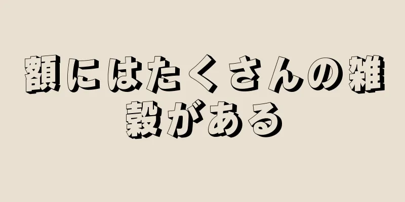 額にはたくさんの雑穀がある