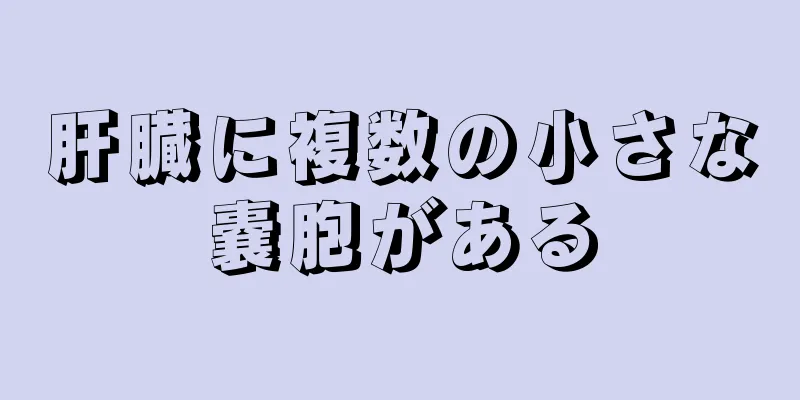 肝臓に複数の小さな嚢胞がある