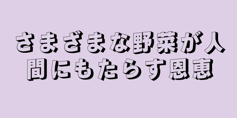 さまざまな野菜が人間にもたらす恩恵