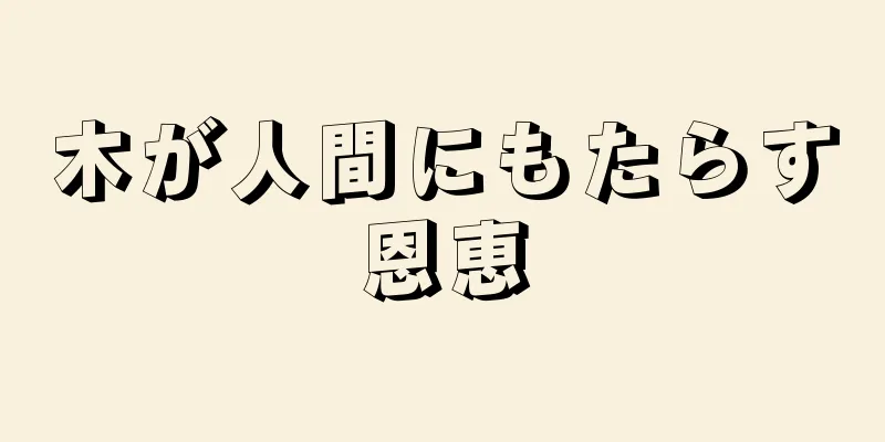 木が人間にもたらす恩恵