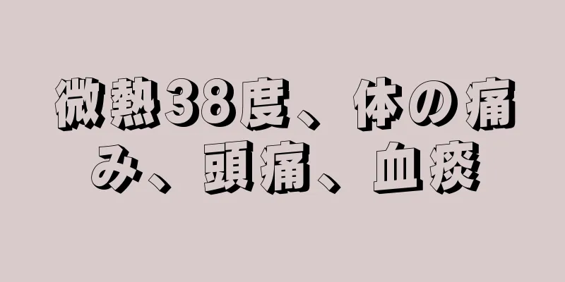 微熱38度、体の痛み、頭痛、血痰