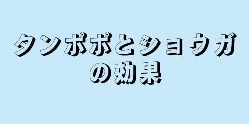 タンポポとショウガの効果