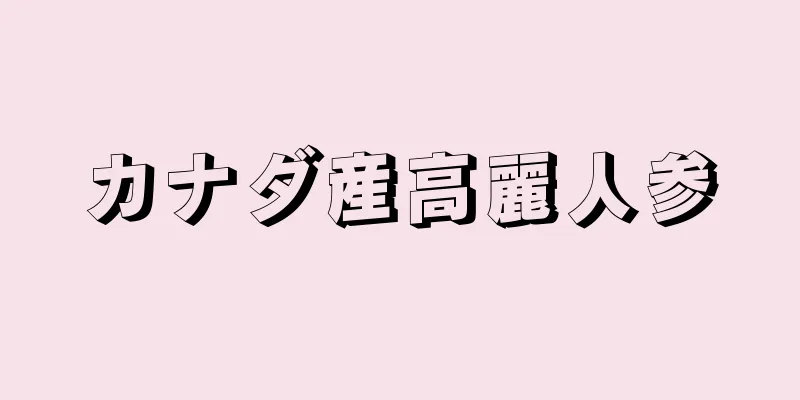 カナダ産高麗人参