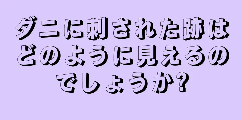 ダニに刺された跡はどのように見えるのでしょうか?