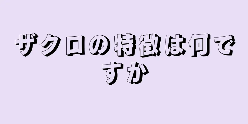 ザクロの特徴は何ですか