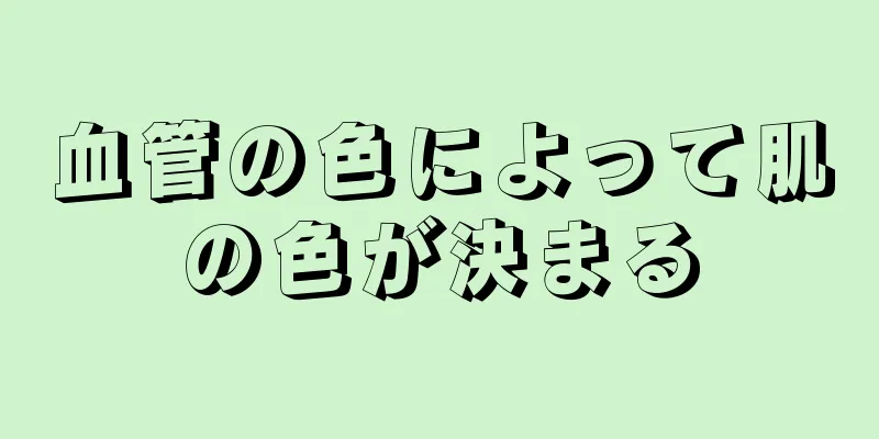 血管の色によって肌の色が決まる