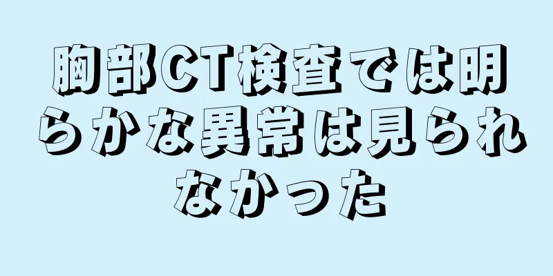 胸部CT検査では明らかな異常は見られなかった