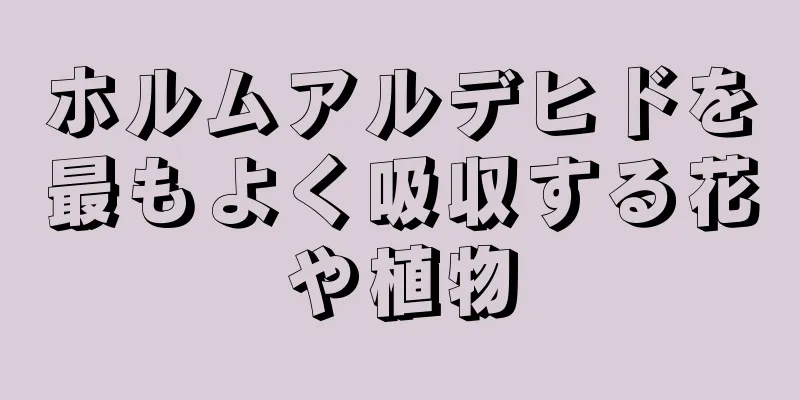 ホルムアルデヒドを最もよく吸収する花や植物