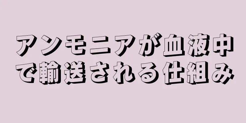 アンモニアが血液中で輸送される仕組み