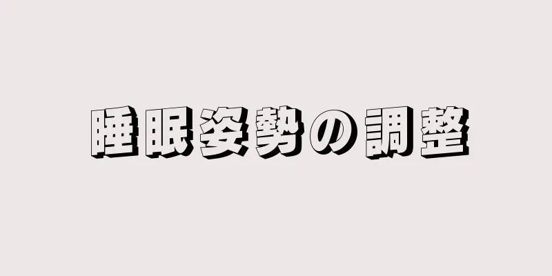 睡眠姿勢の調整