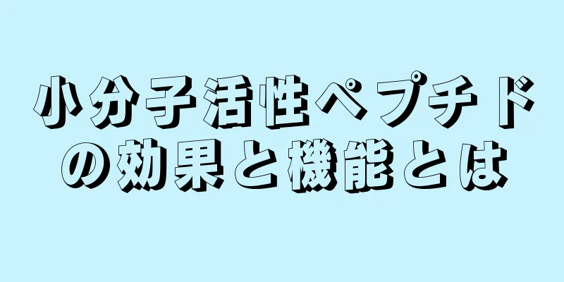 小分子活性ペプチドの効果と機能とは