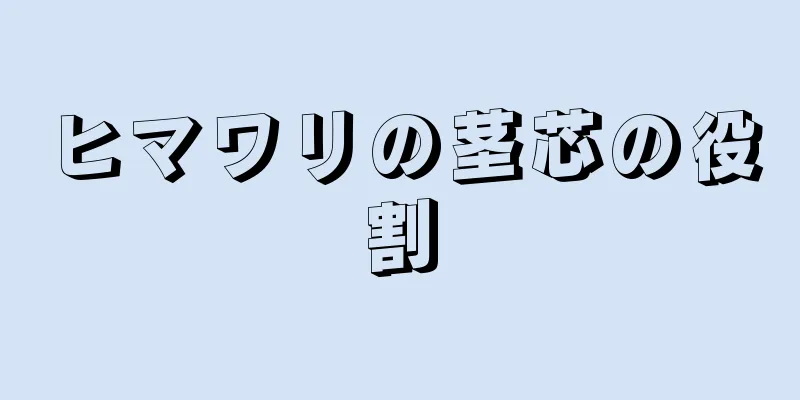 ヒマワリの茎芯の役割