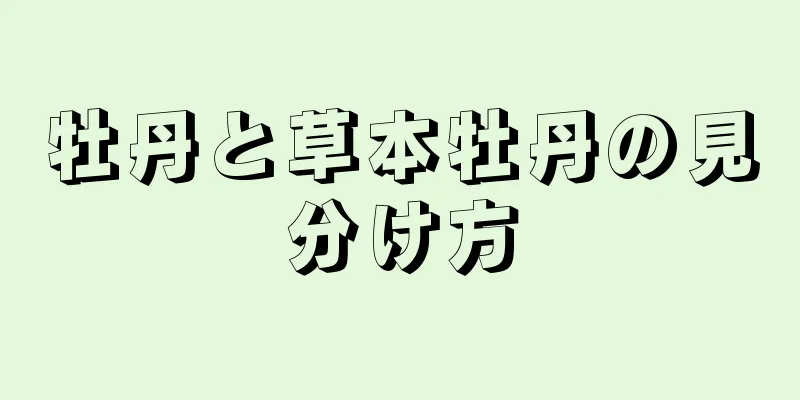 牡丹と草本牡丹の見分け方