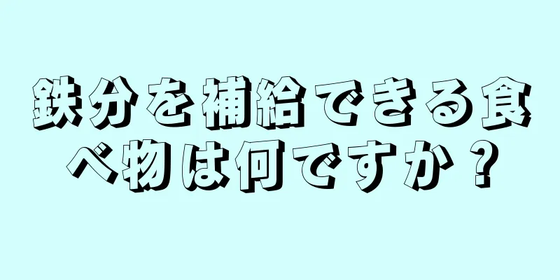 鉄分を補給できる食べ物は何ですか？