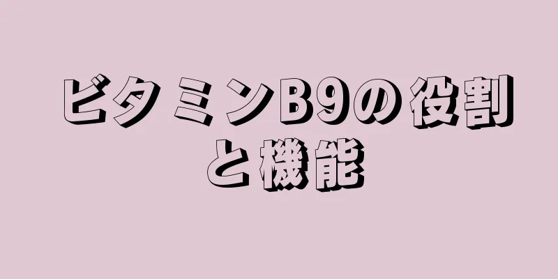 ビタミンB9の役割と機能