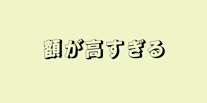 額が高すぎる