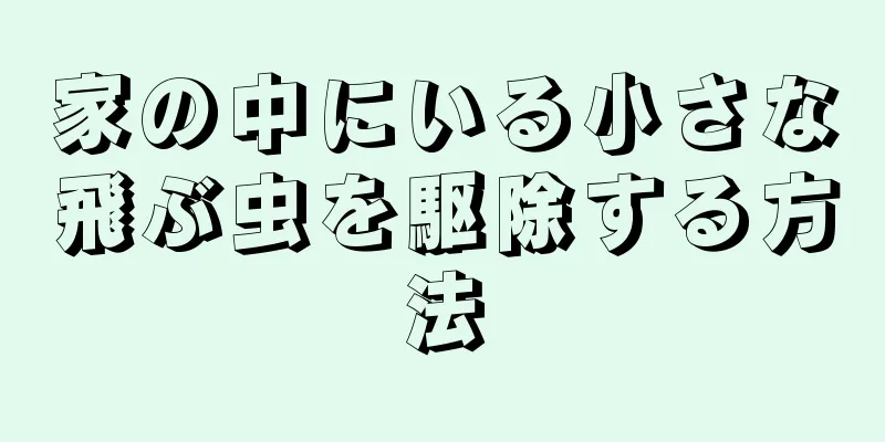 家の中にいる小さな飛ぶ虫を駆除する方法