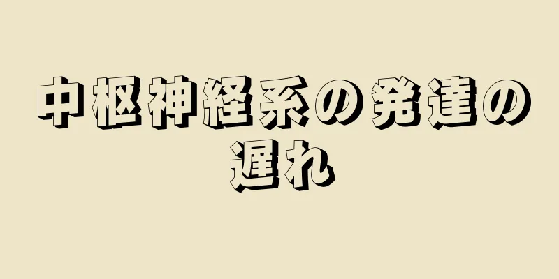 中枢神経系の発達の遅れ