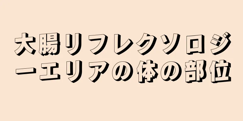 大腸リフレクソロジーエリアの体の部位