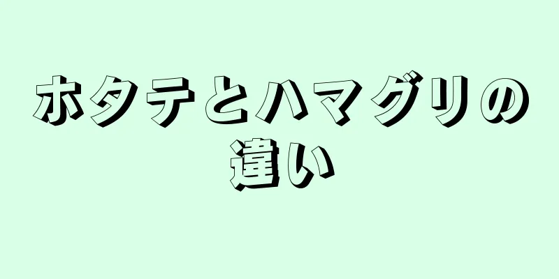 ホタテとハマグリの違い