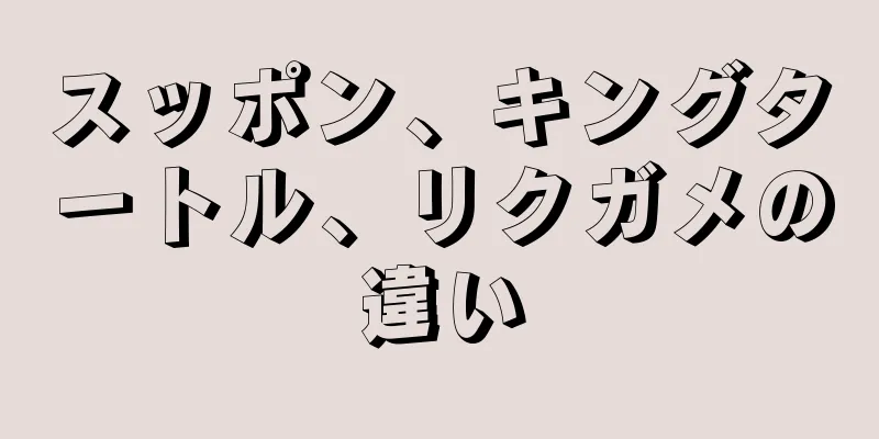 スッポン、キングタートル、リクガメの違い