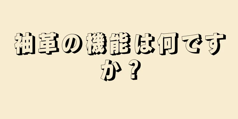 袖革の機能は何ですか？