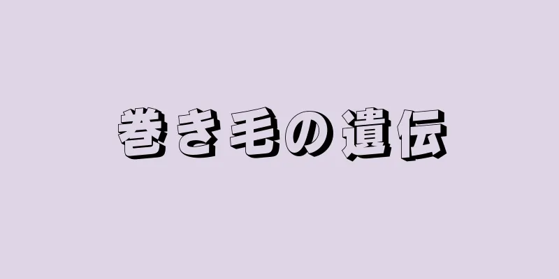 巻き毛の遺伝