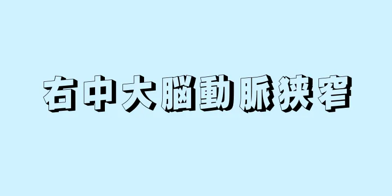 右中大脳動脈狭窄