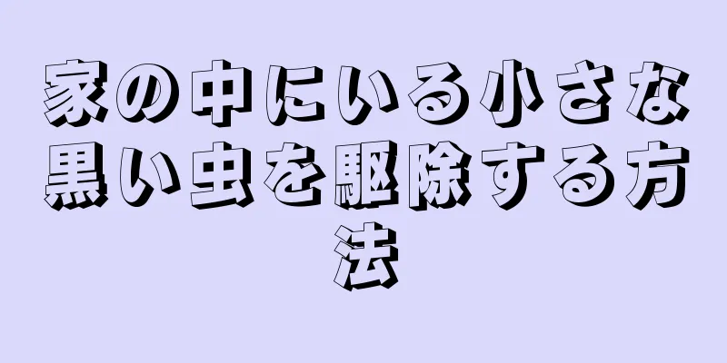 家の中にいる小さな黒い虫を駆除する方法