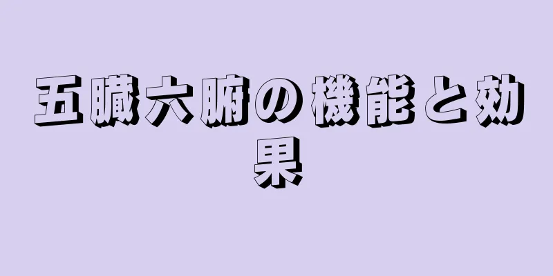 五臓六腑の機能と効果