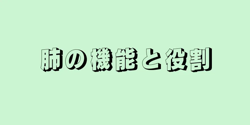 肺の機能と役割