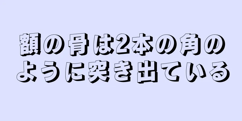 額の骨は2本の角のように突き出ている