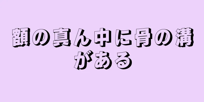 額の真ん中に骨の溝がある