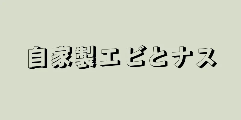 自家製エビとナス