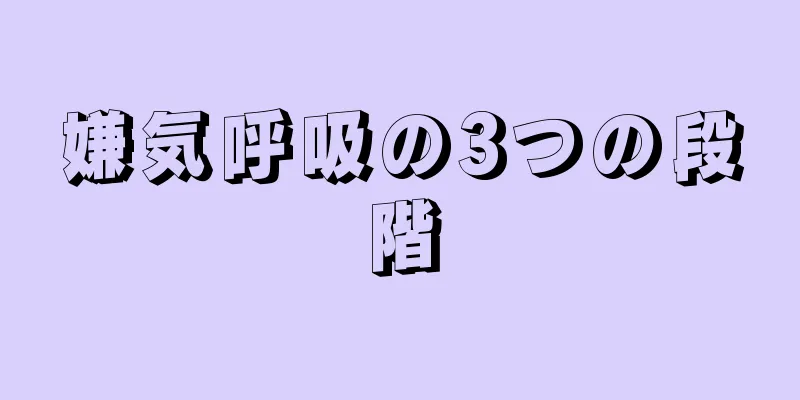 嫌気呼吸の3つの段階