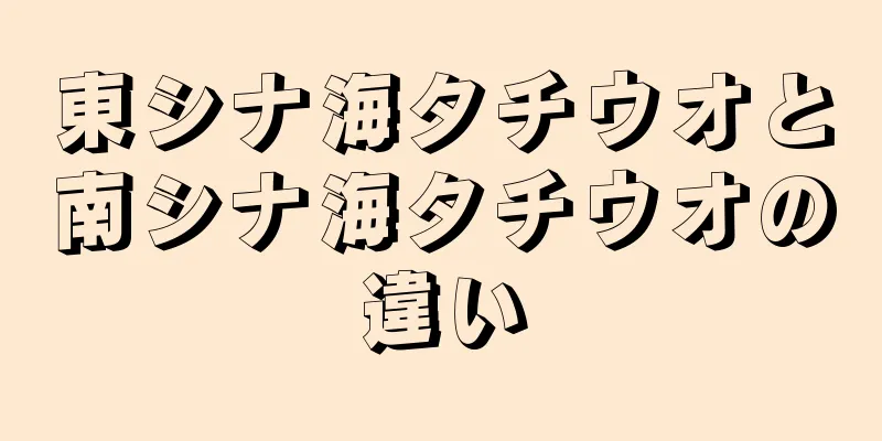 東シナ海タチウオと南シナ海タチウオの違い