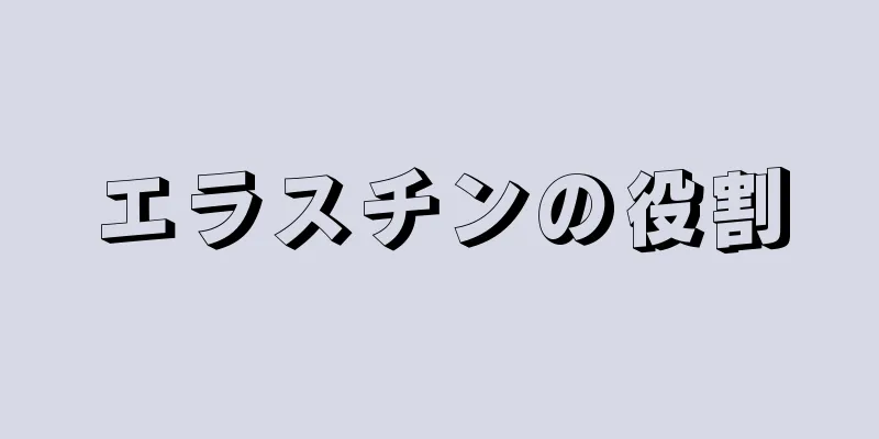 エラスチンの役割